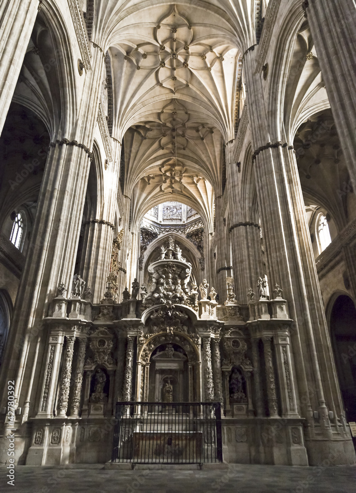 Salamanca New Cathedral (Interior)