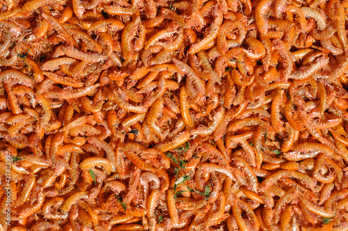 Dry gammarus