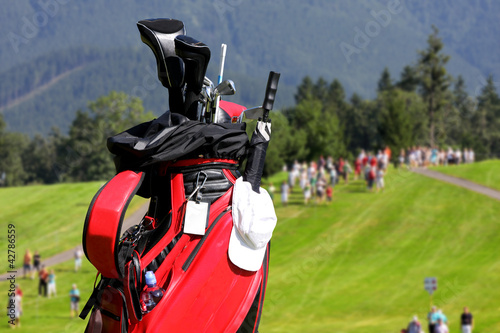 Golf Bag with clubs on golf course