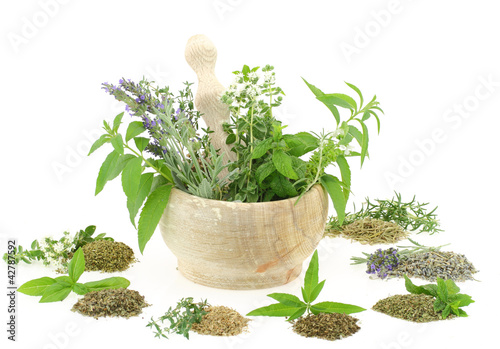 Mortar and pestle with herbs and spices