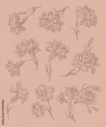 Wallpaper Mural Cloves illustration Torontodigital.ca