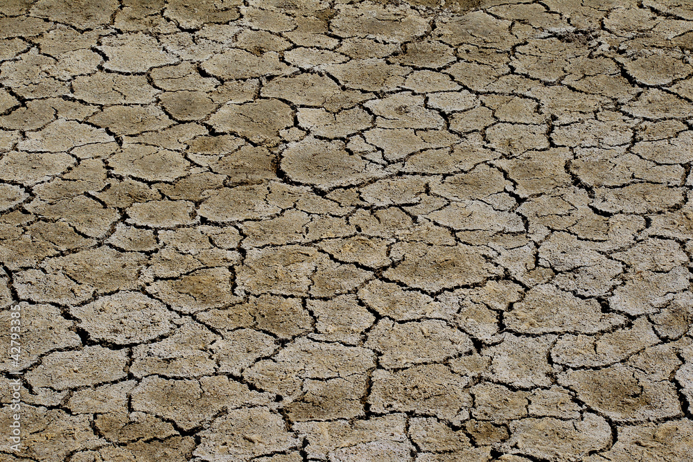Cracked, dry layer of the earth's surface Cracked, dry layer of the earth's surface
