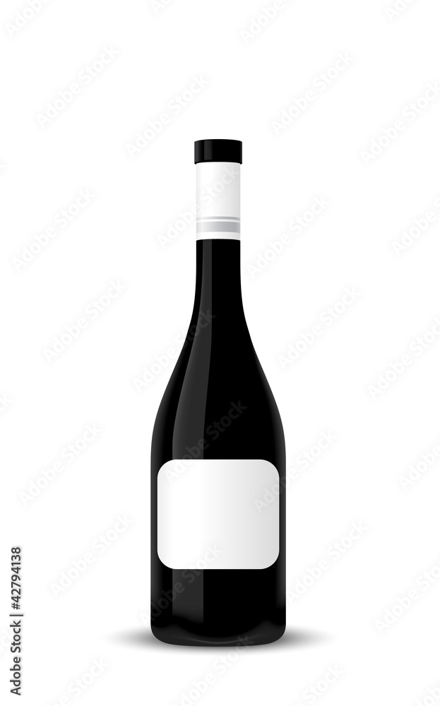 bottle of champagne on a white background bottle of champagne on a white background