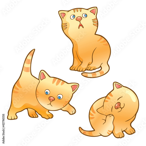 Funny kittens illustration