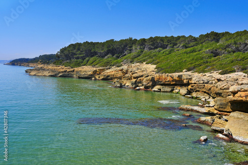 coves in Bosc de la Marquesa, Tarragona, Spain