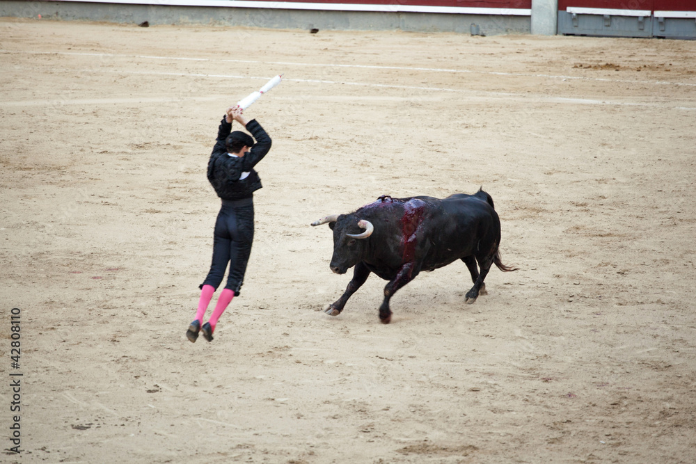 Torero poniendo un par de banderillas al toro. Stock Photo