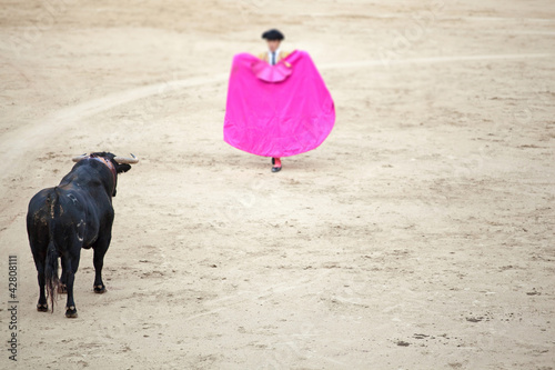 Corrida de toros en Madrid Spain