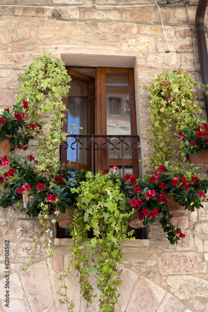 flowers hangs on the window of a home