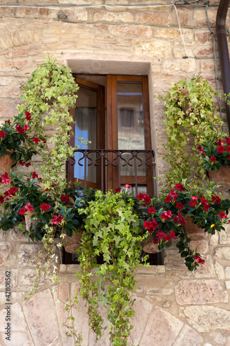 flowers hangs on the window of a home #42808562