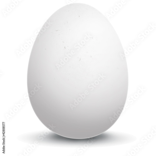 Ilustração de um ovo branco photo