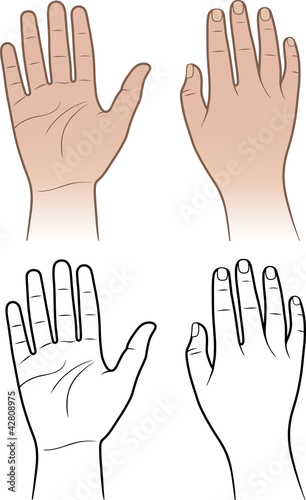 Woman, man hands isolated on white