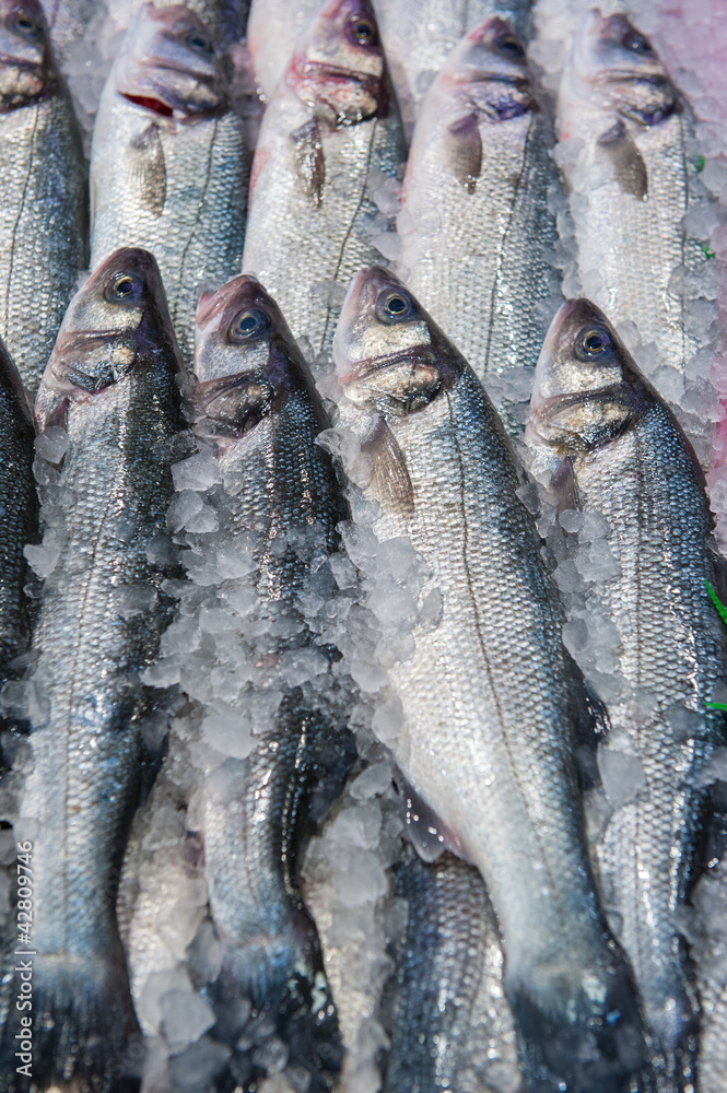 Obraz premium fresh fish at a fish market