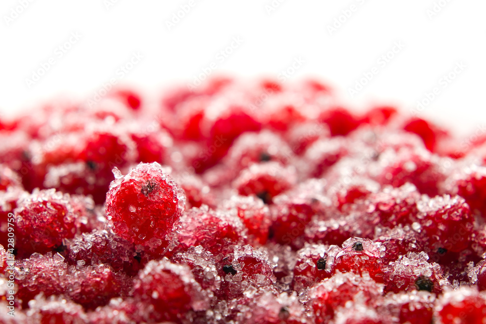 Red currants with sugar Red currants with sugar