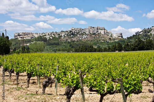 Wallpaper Mural Les Baux de Provence and Vineyard Torontodigital.ca