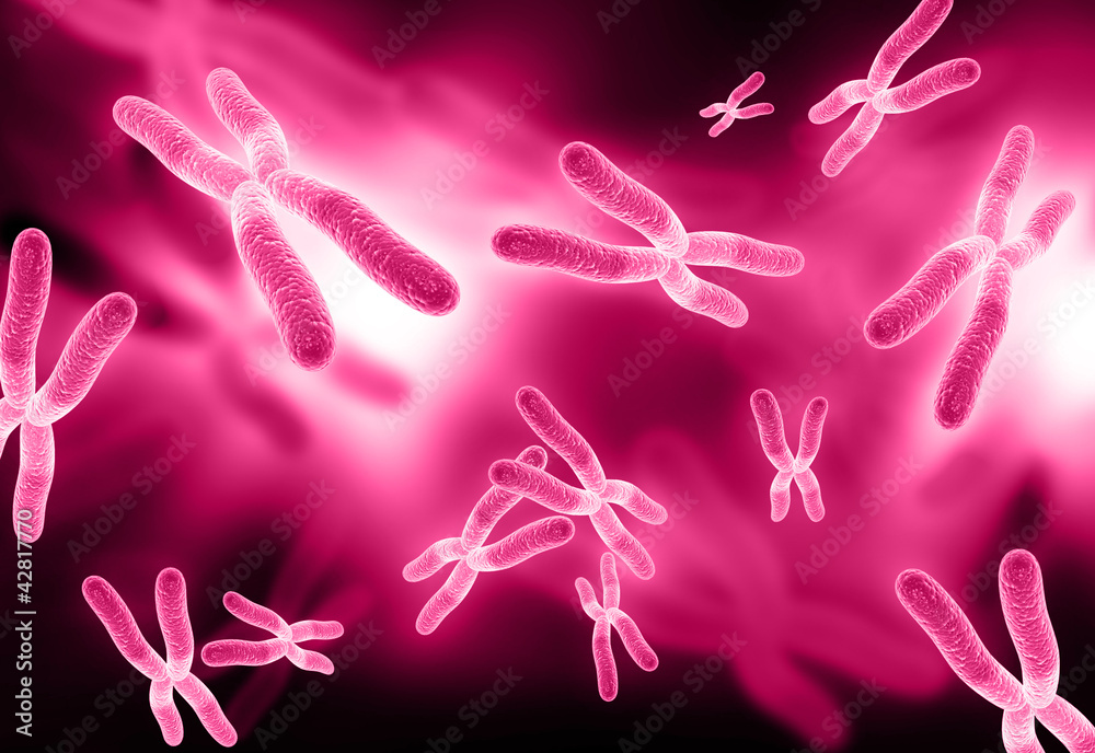chromosome chromosome