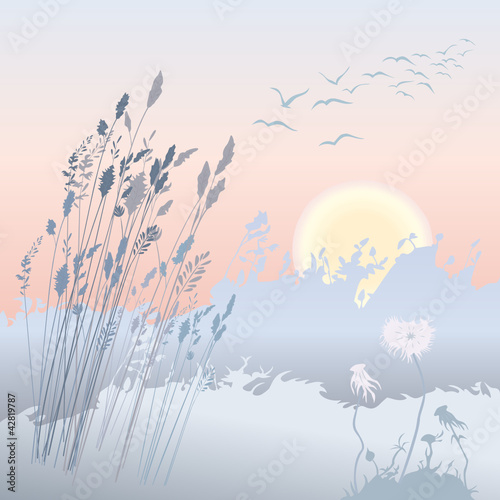 Sonnenaufgang mit Vogelzug