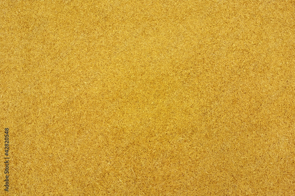 rice husks rice husks