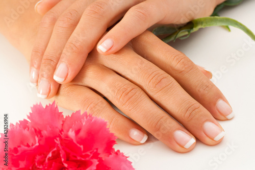 Female hands with french manicure.