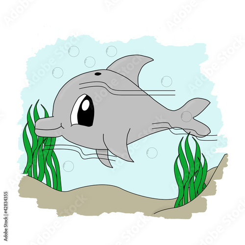 Cute Dolphin