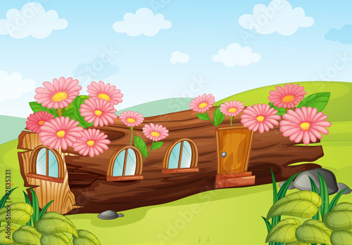 wooden house