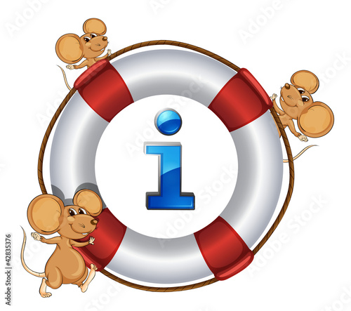 lifebuoy