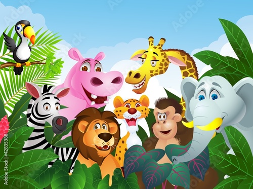 Animal cartoon