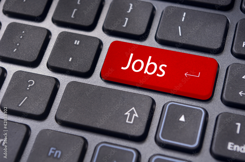 job searching concept job searching concept