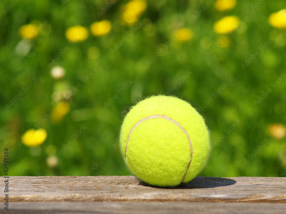 tennis ball und Wiese 43