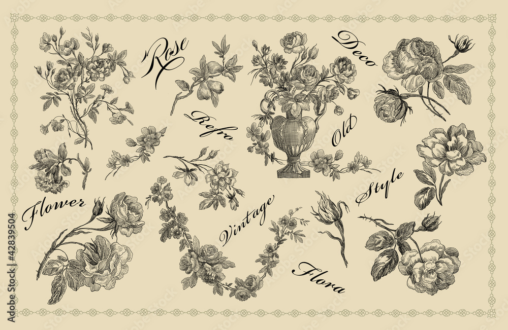 Naklejka premium Old roses illustration