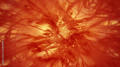 Inner organic journey