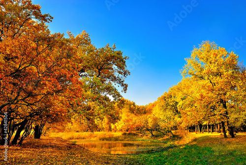 Autumn forest and a small lake