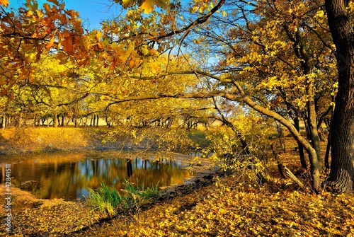 A small lake in the autumn forest