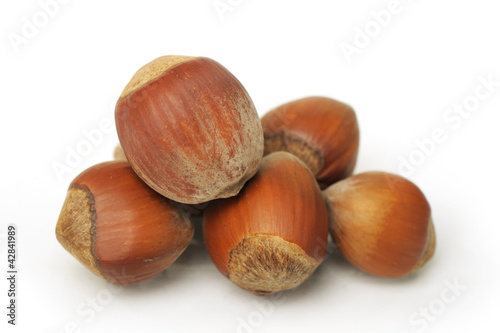 Nuts isolated