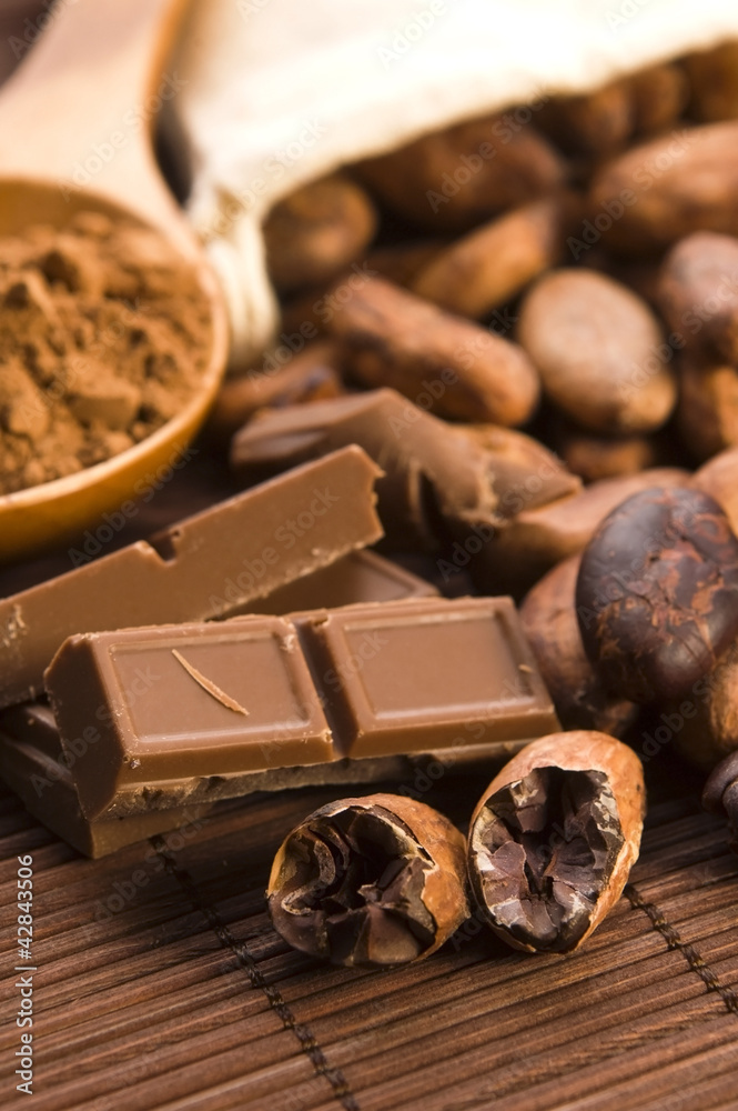 Cocoa (cacao) beans with chocolate Cocoa (cacao) beans with chocolate