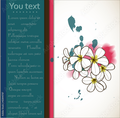 Vector card with plumeria