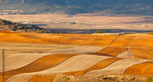 Fields and hills of winter Spain photo