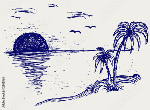 Island palm