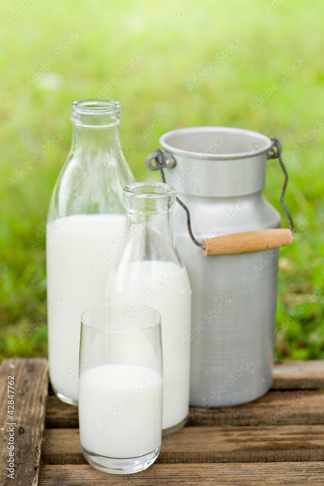 Frische Milch Frische Milch