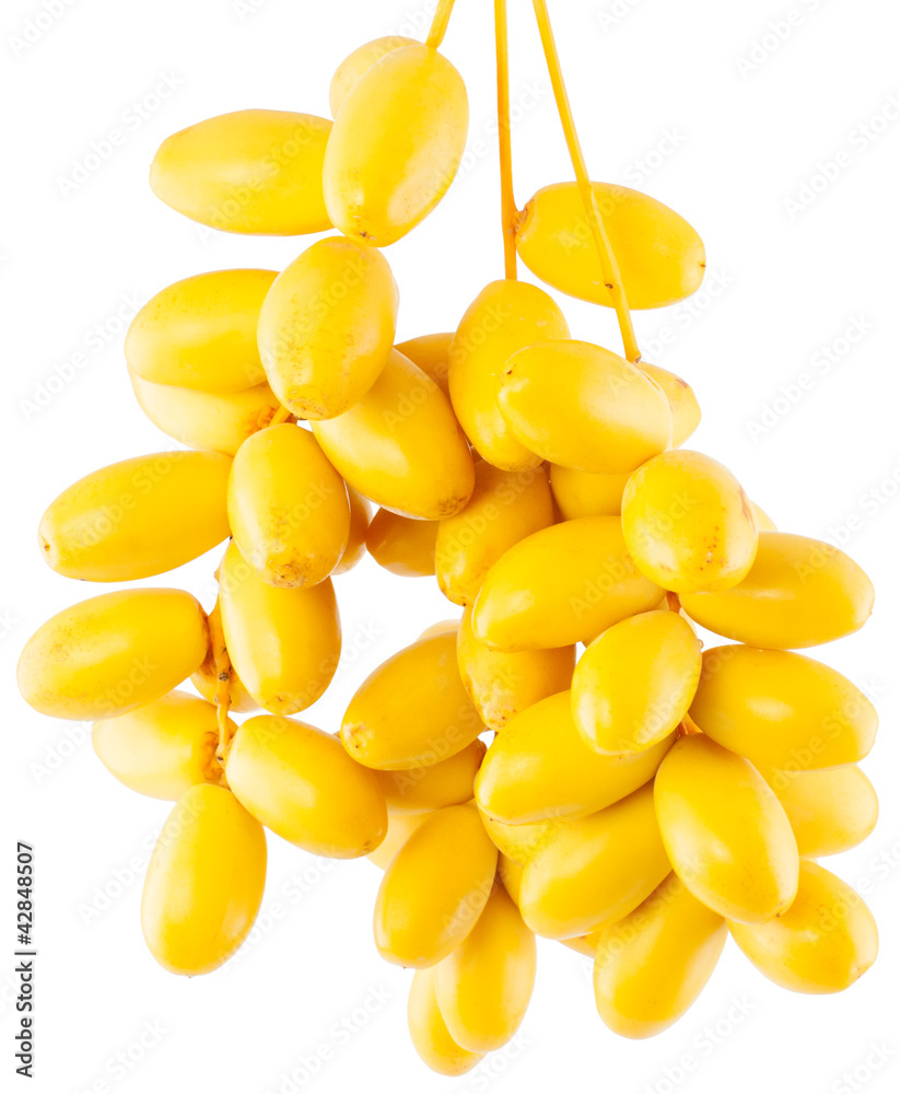 Fototapeta premium Fresh date fruits