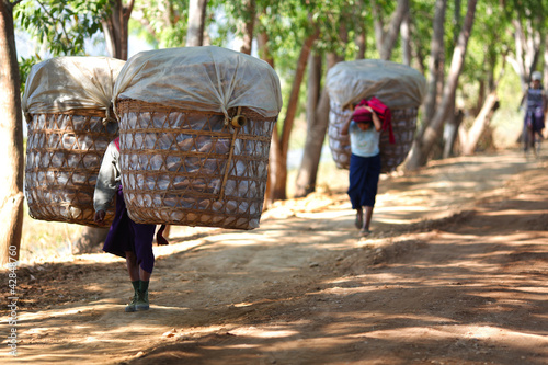 Village women carrying large baskets of produce in Myanmar