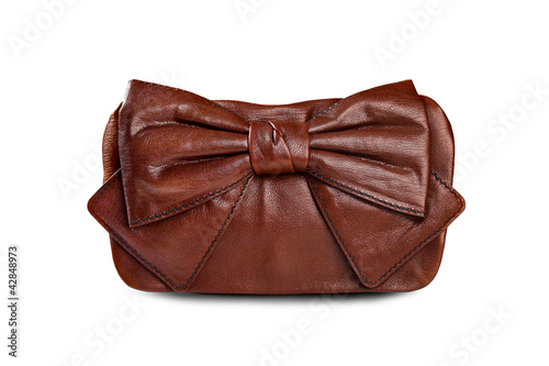 Brown female bag-1