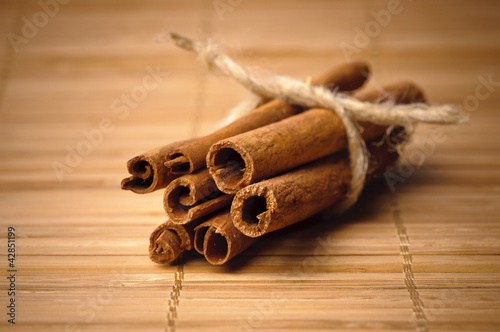 Obraz na płótnie cinnamon w salonie