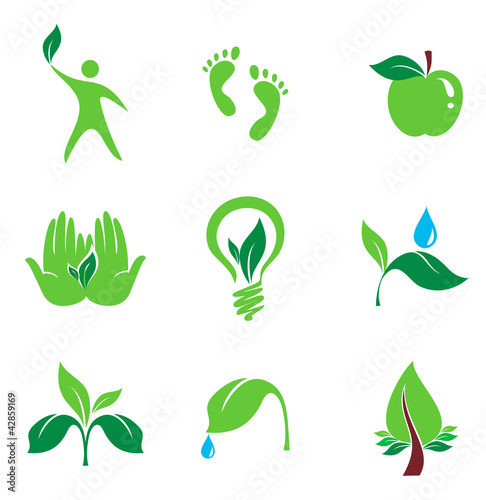 set of nature and orgaic vector icons