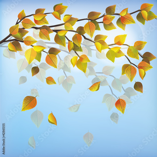 Autumn tree, nature background © silvionka