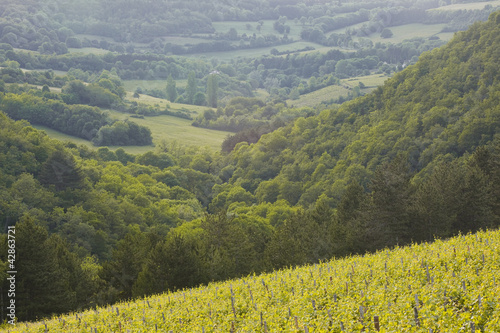 Looking across the vineyards and countryside of Burgundy photo