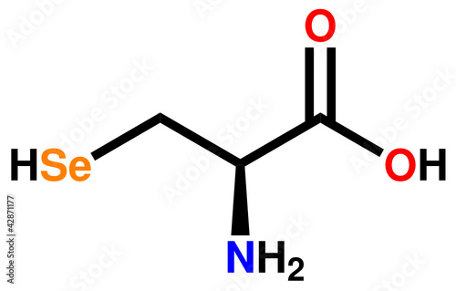 Amino acid selenocysteine structural formula