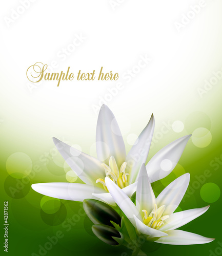 Celebratory background with white flowers