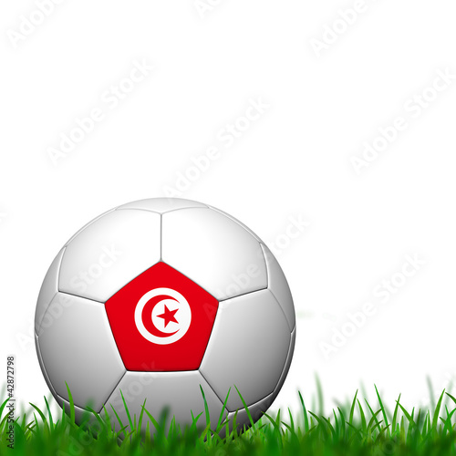 3D Soccer balll Tunisia Flag Patter on green grass over white ba
