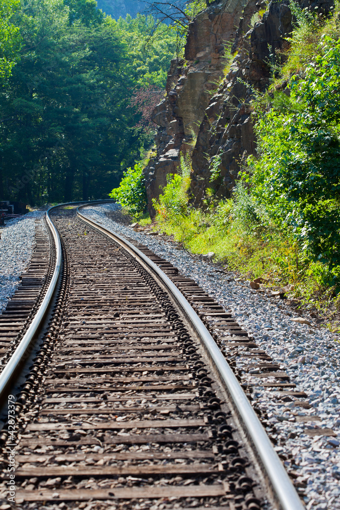 Fototapeta premium Railroad Tracks