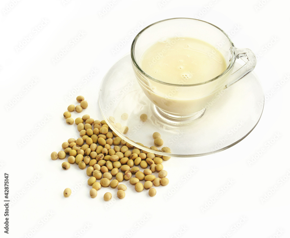 soymilk with soybeans soymilk with soybeans